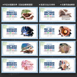 职业教育文化墙