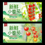 小番茄