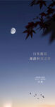 二十四节气 创意质感节气 概念