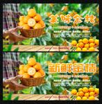 金桔