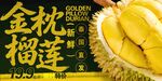 金枕榴莲 