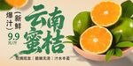 云南蜜桔 