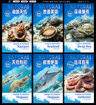 海鲜海报