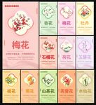 十二花令