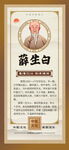 养生日历海报