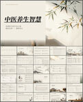 传统医学中医养生智慧ppt