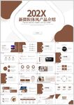 202X商务通用工作介绍PPT