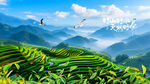 茶山