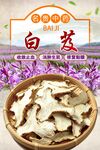 白芨  