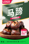 马蹄