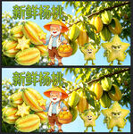 杨桃