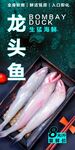 龙头鱼