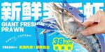 罗氏虾 