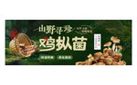 鸡枞菌