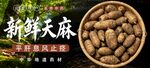 新鲜天麻 