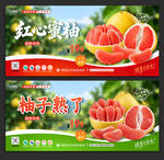 柚子