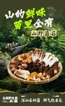 野生菌海报