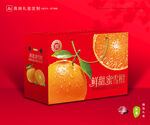 蜜雪柑包装 蜜桔礼盒