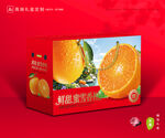 蜜雪柑包装 蜜桔礼盒