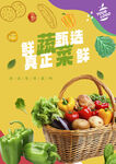 蔬菜海报