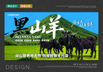 黑山羊
