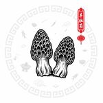 羊肚菌