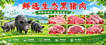 生态黑猪肉