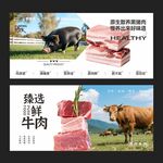 鲜肉