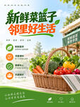 新鲜蔬菜海报