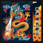 龙