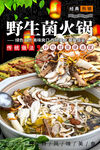 野生菌火锅