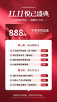 双11美容卡促销海报