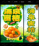 涌泉蜜桔
