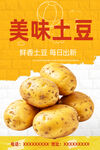 土豆