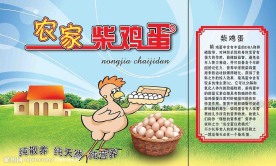 鸡蛋包装