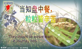 学校食堂展板