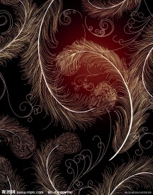 移门花纹（金丝羽毛）