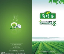 茶叶宣传册封面