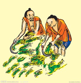 农夫割稻