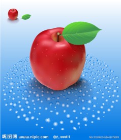 矢量 红苹果