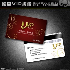 VIP模板 vip 精品VIP vip卡