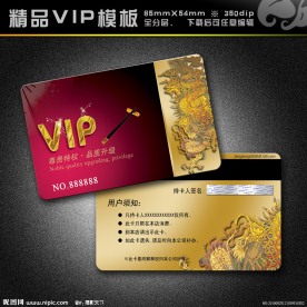 VIP模板 vip 精品VIP vip卡