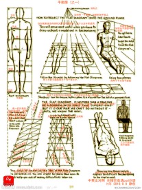 平面人体透视中英文对照 (全镂空psd分层)