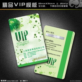 VIP模板 vip 精品VIP vip卡 美容卡 美容VIP