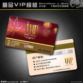 美容卡 美容VIP
