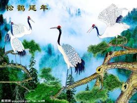 国画松鹤延年立体画序列图