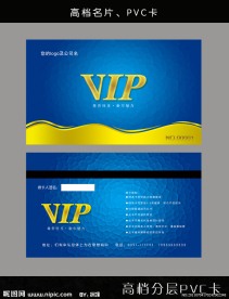 高档vip名片模版