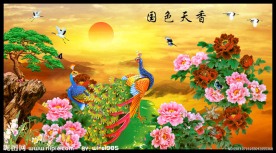 花开富贵 牡丹花