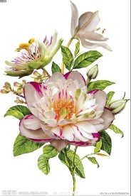 朵花(通道分层)