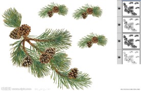 松果 (通道分层)